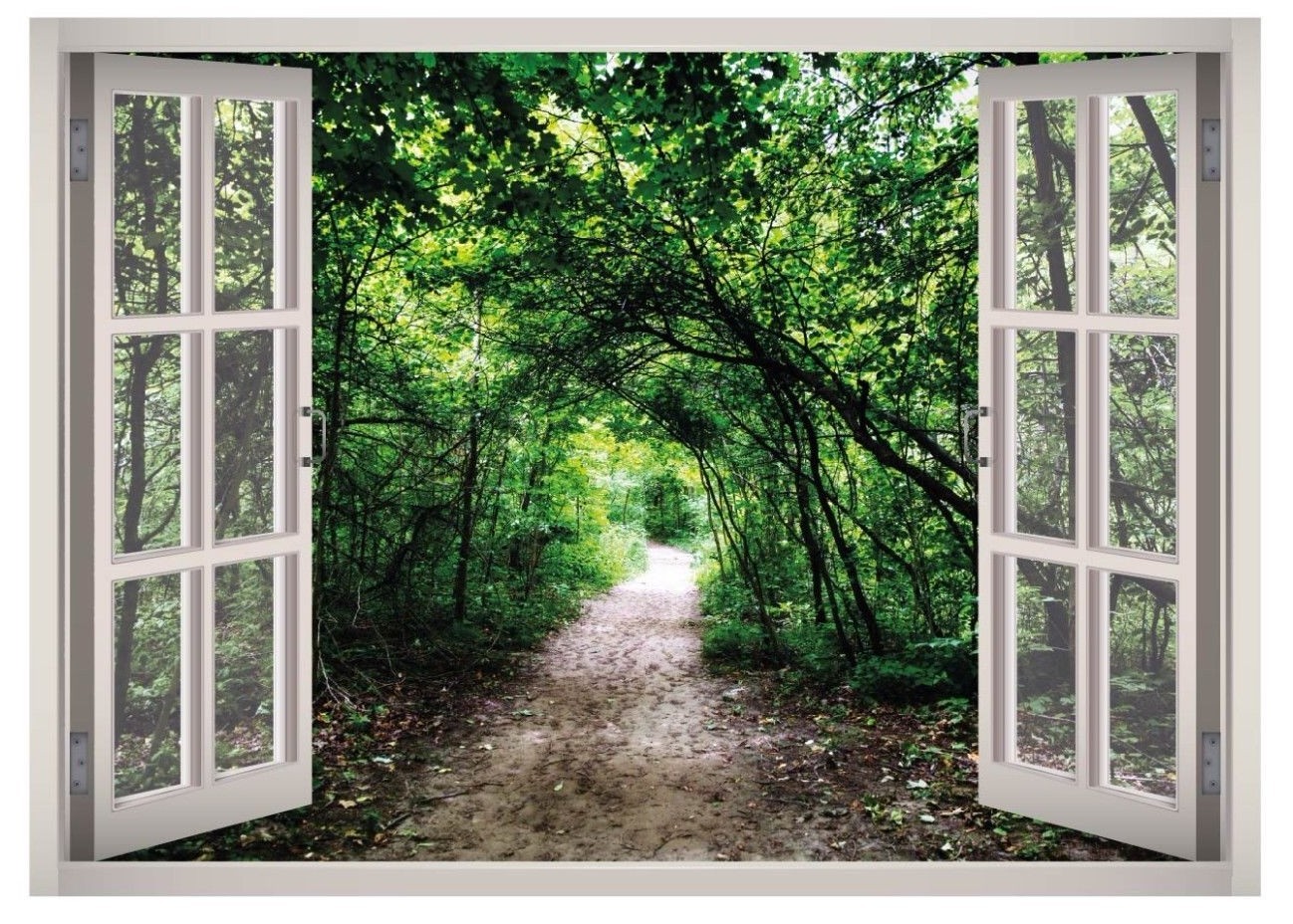 Forest Hiking View Window 3D Wall Decal Art Mural Home Decor Canvas Vinyl W135