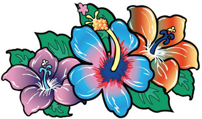 Hibiscus Flowers Die Cut – Postcard Sized Vinyl Sticker 6" x 3.5"