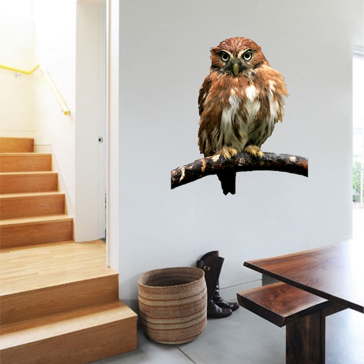 Owl Wall Decal Mural Bird Wise Wild Animals Removable Tree Branch Vinyl, a18