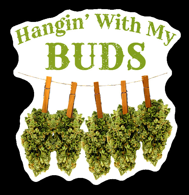 Hanging with My Buds Vinyl Sticker Weatherproof UV Safe Cannabis Decal Weed 420