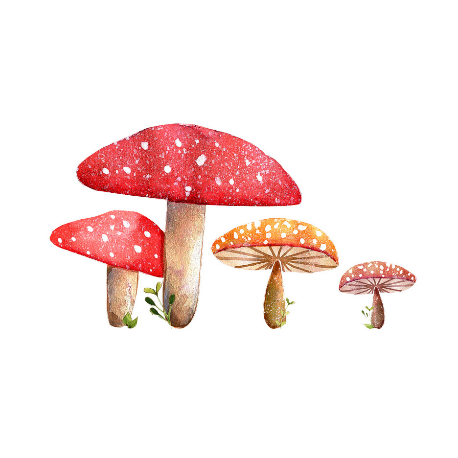 Woodland Mushroom Cluster – Wall Decal – 6" tall x 11" wide