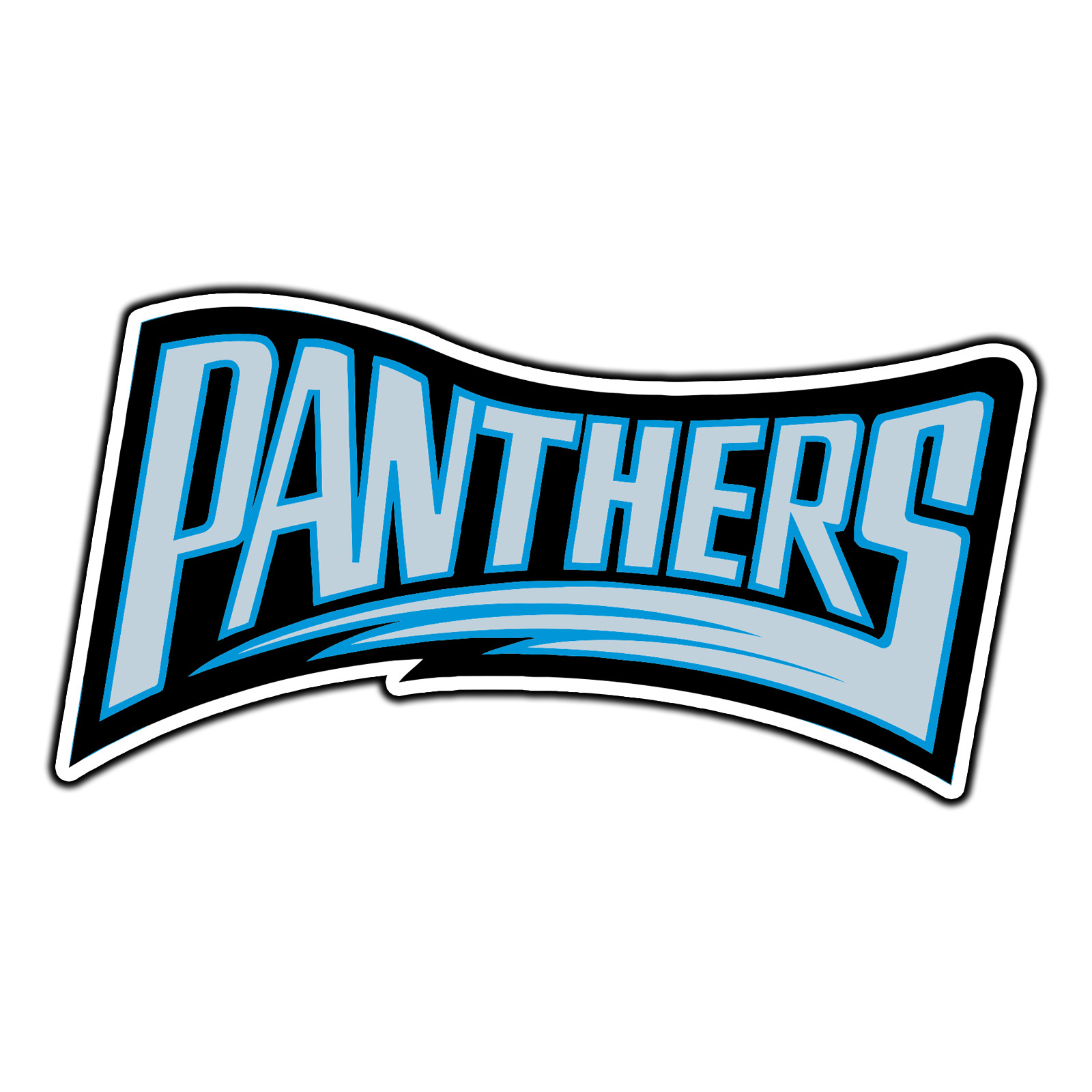 #3245 Carolina Panthers Logo #12 Football Sticker Waterproof Vinyl Decal Die-Cut