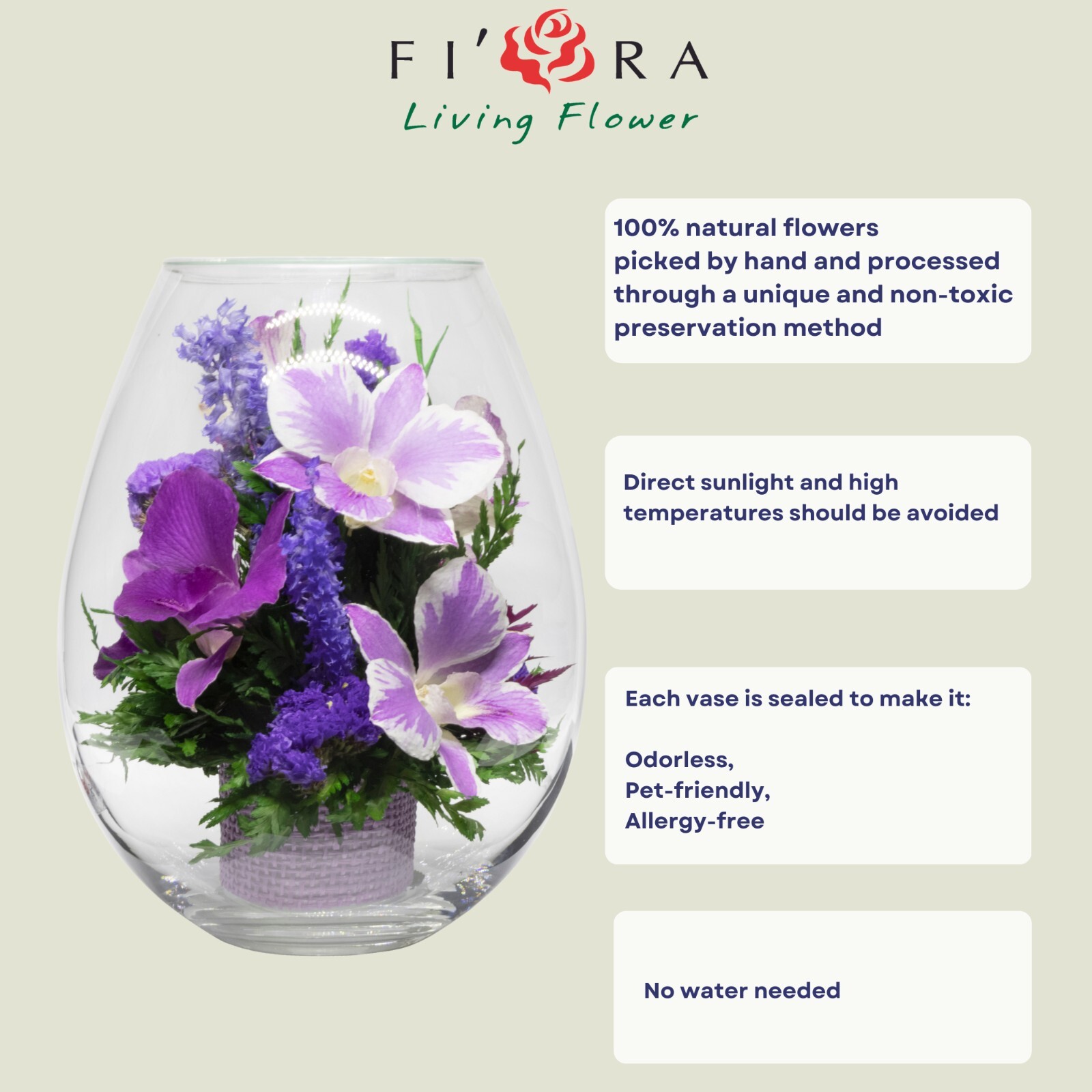 Mom gift for Mother Day,Flowers Orchids,Best Style,Wedding Gift,Gifttable 71850
