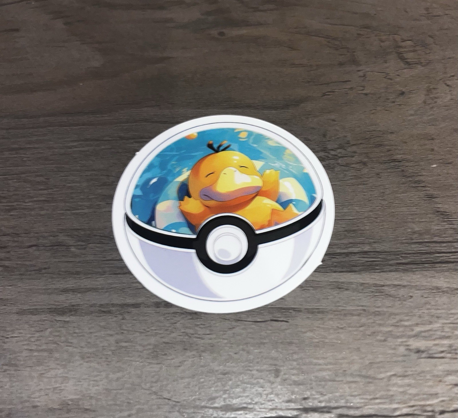 Pokemon Sticker l Homemade | PBS12