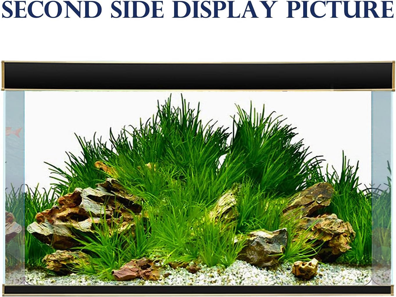 New 20" X 48" Fish Tank Background Paper Wallpaper 2 Sided Colorful Seaweed Wate