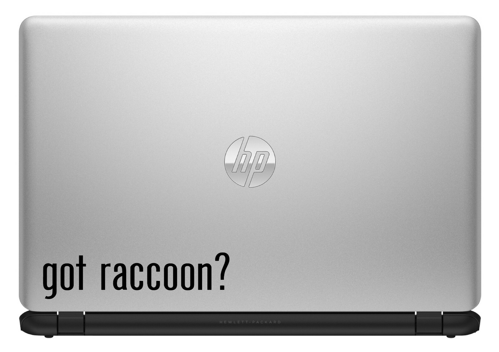 Got Raccoon? Custom Vinyl Sticker / Decal Animal, Trash Panda, Nature, Wildlife