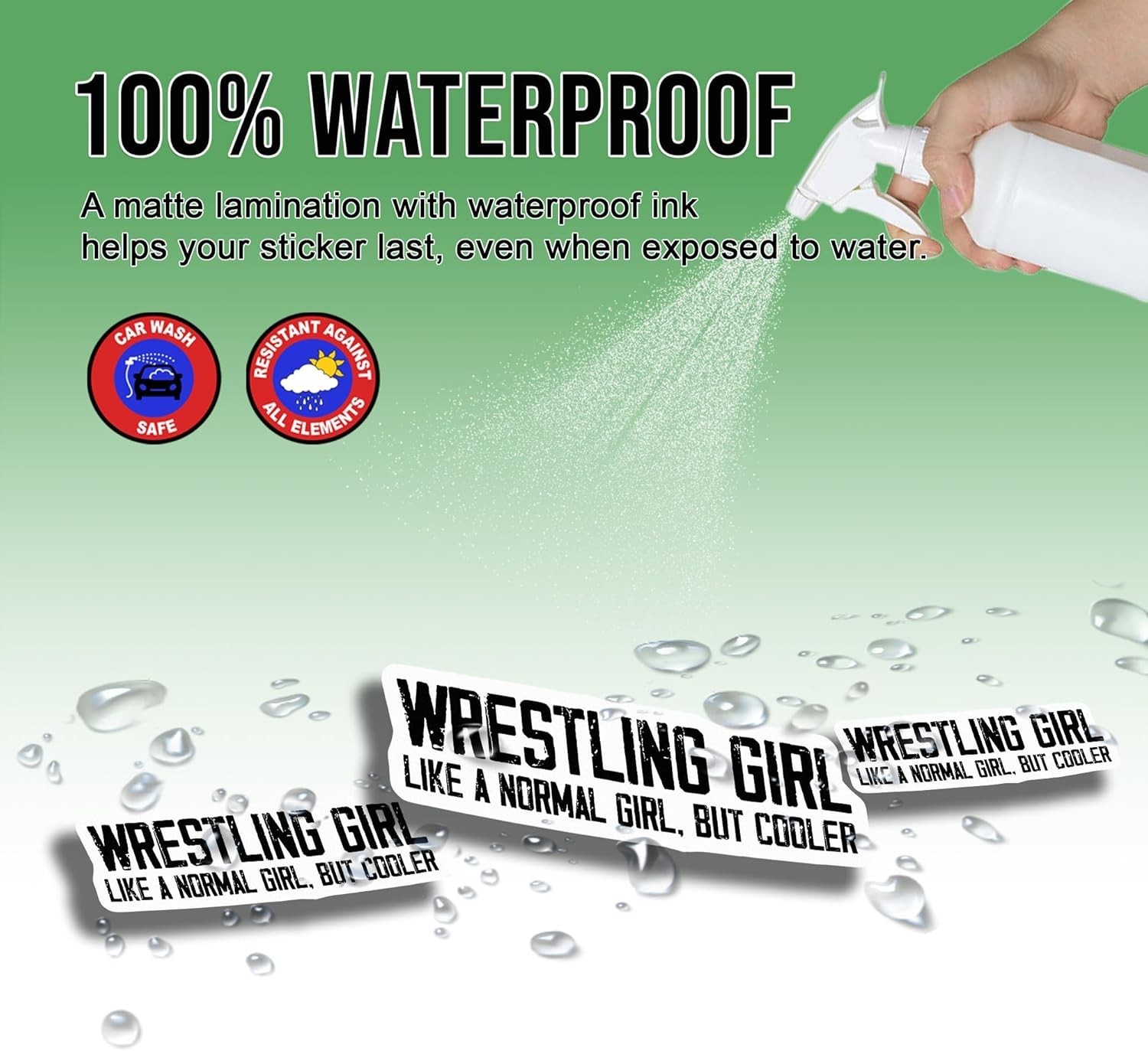 3pcs Wrestling Girl Sticker, Cool Wrestler, Women Wrestler Quotes Decal Size 3"