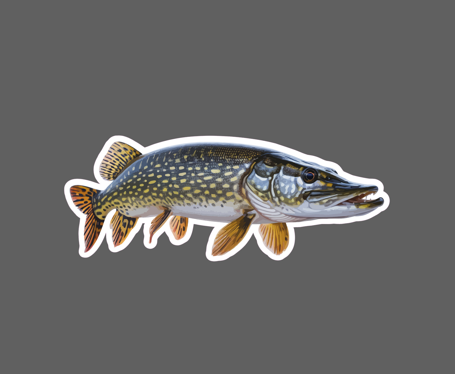 Northern Pike Sticker Fish Outdoor Wildlife Nature Gift Waterproof NEW