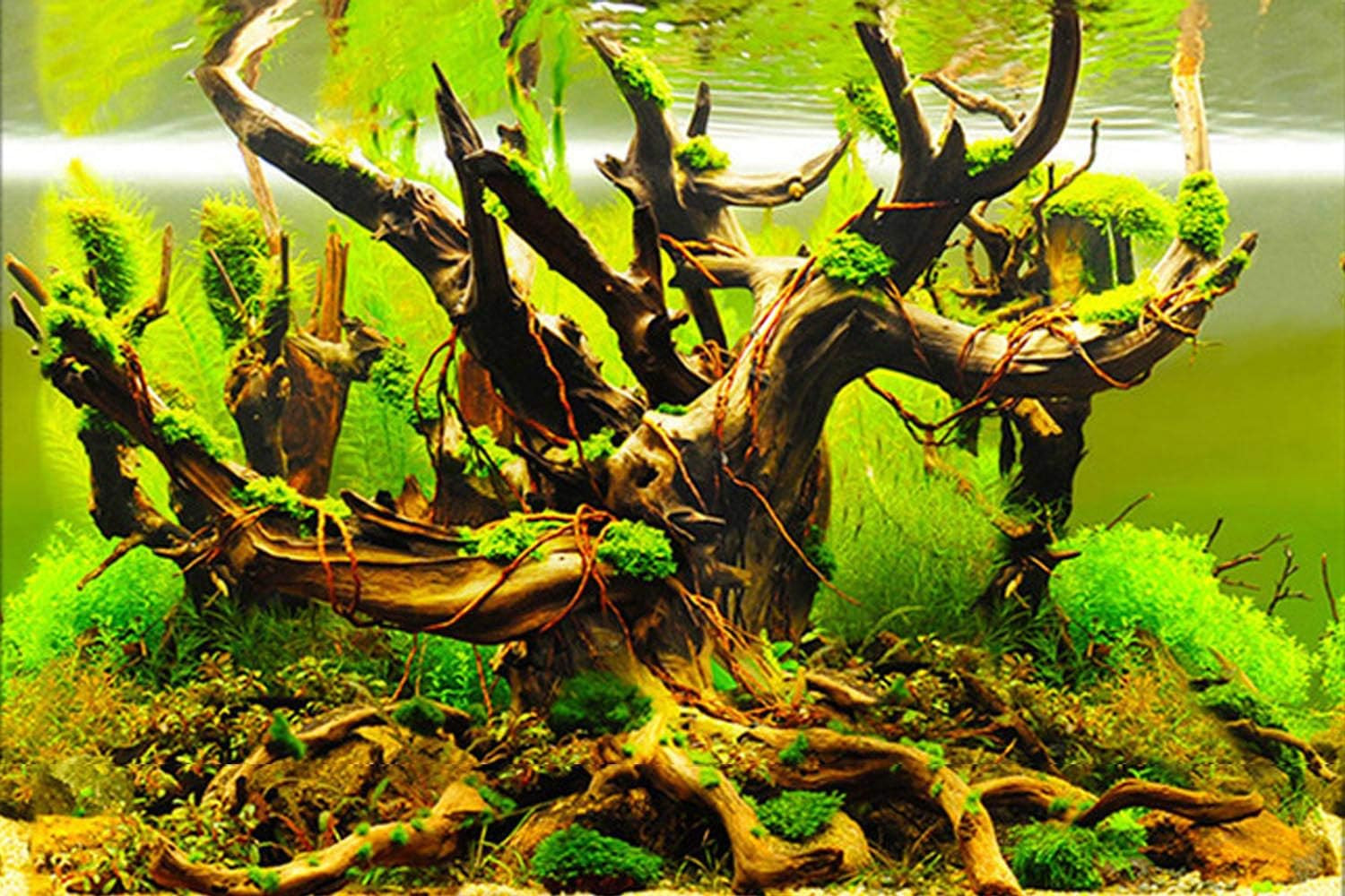 New 20" X 48" Fish Tank Background Paper Wallpaper 2 Sided Colorful Seaweed Wate