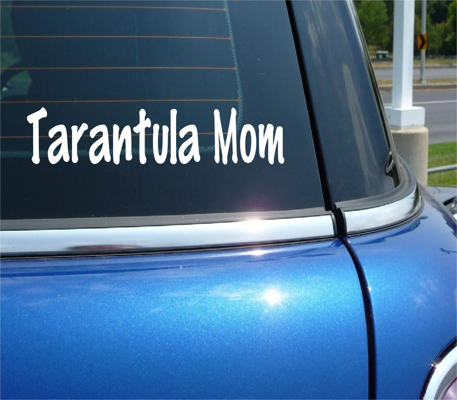 TARANTULA MOM PET SPIDER ARACHNID FAN DECAL STICKER FUNNY CAR TRUCK