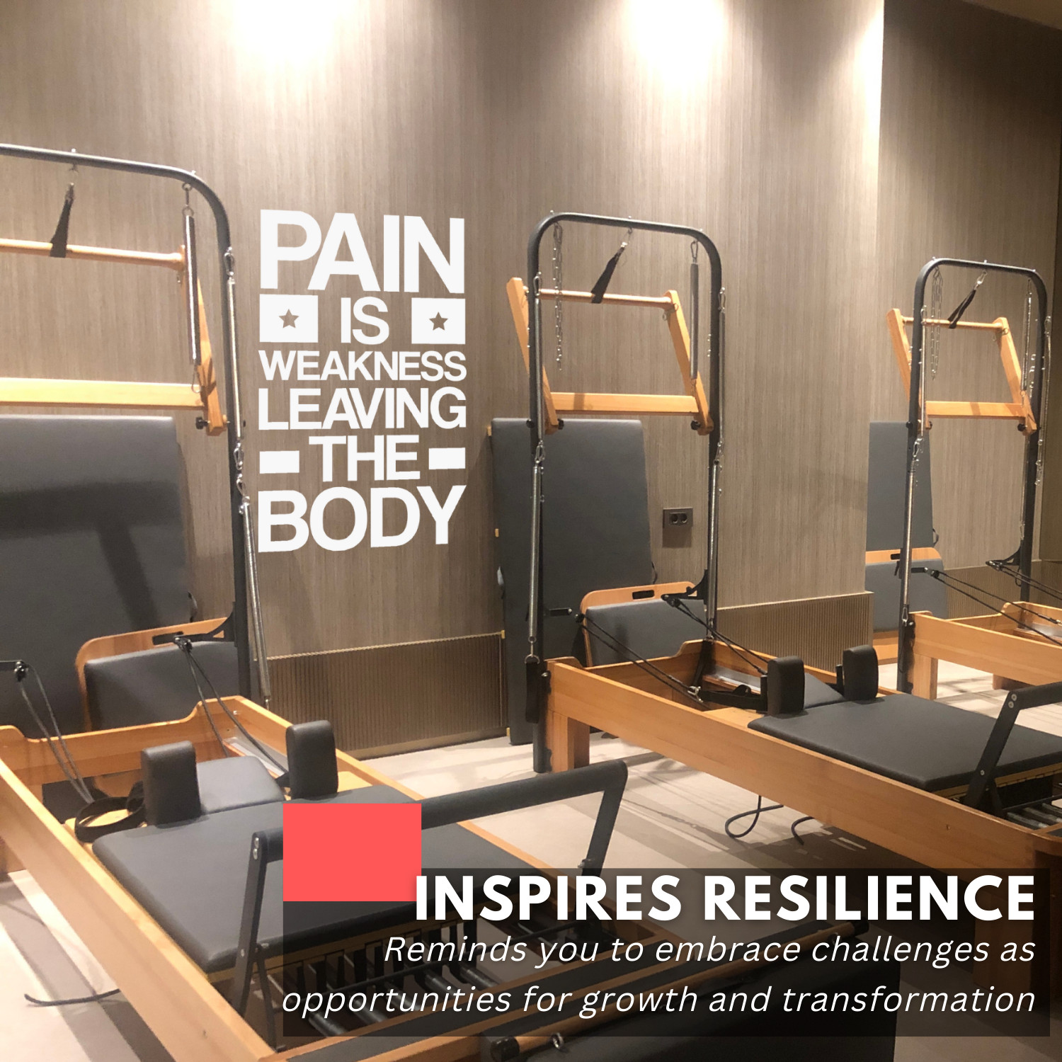 Motivational Wall Decal Quote – Pain Is Weakness Leaving the Body – Gym & Fitnes