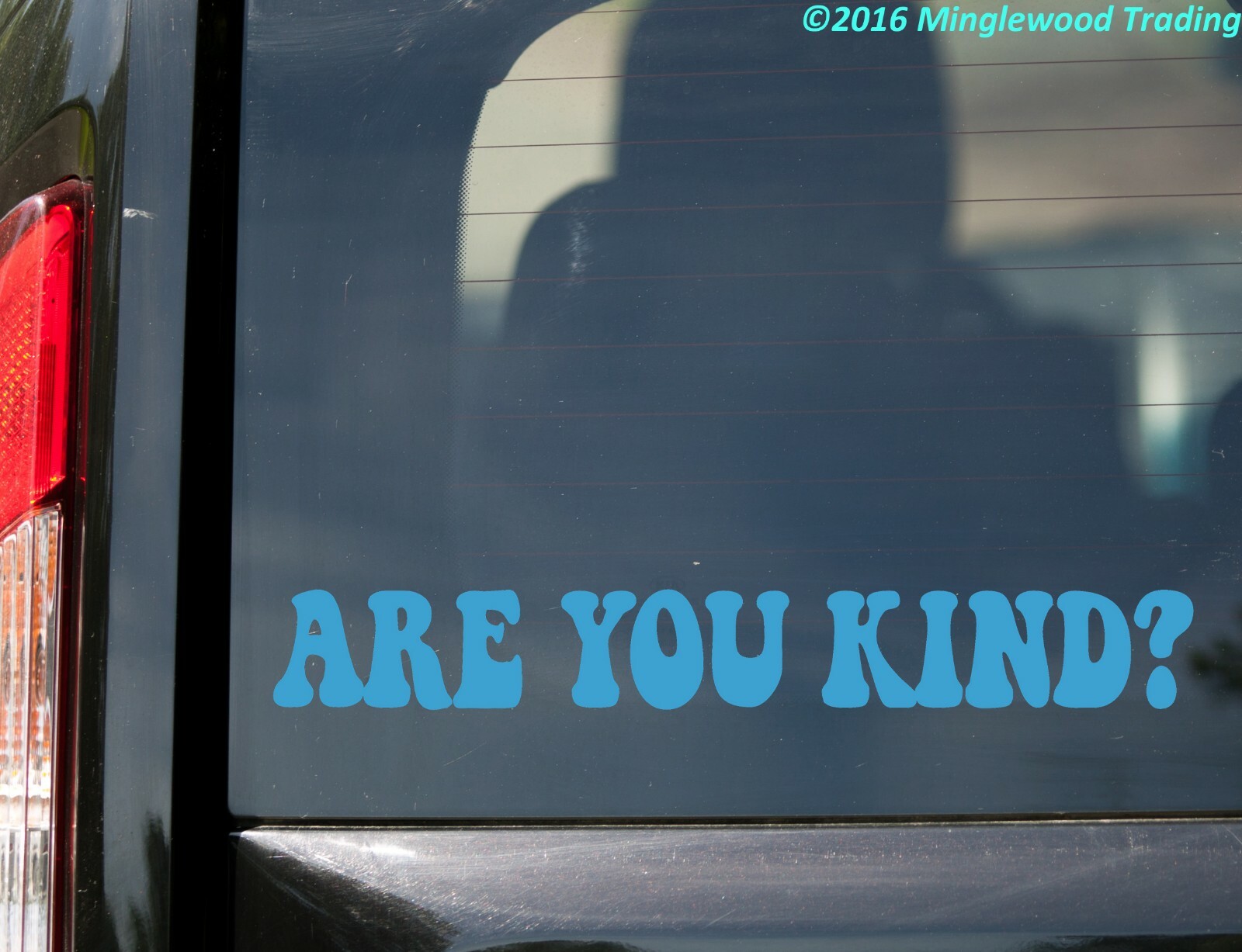 Are You Kind? Vinyl Sticker – Kindness Grateful Dead – Die Cut Decal V2
