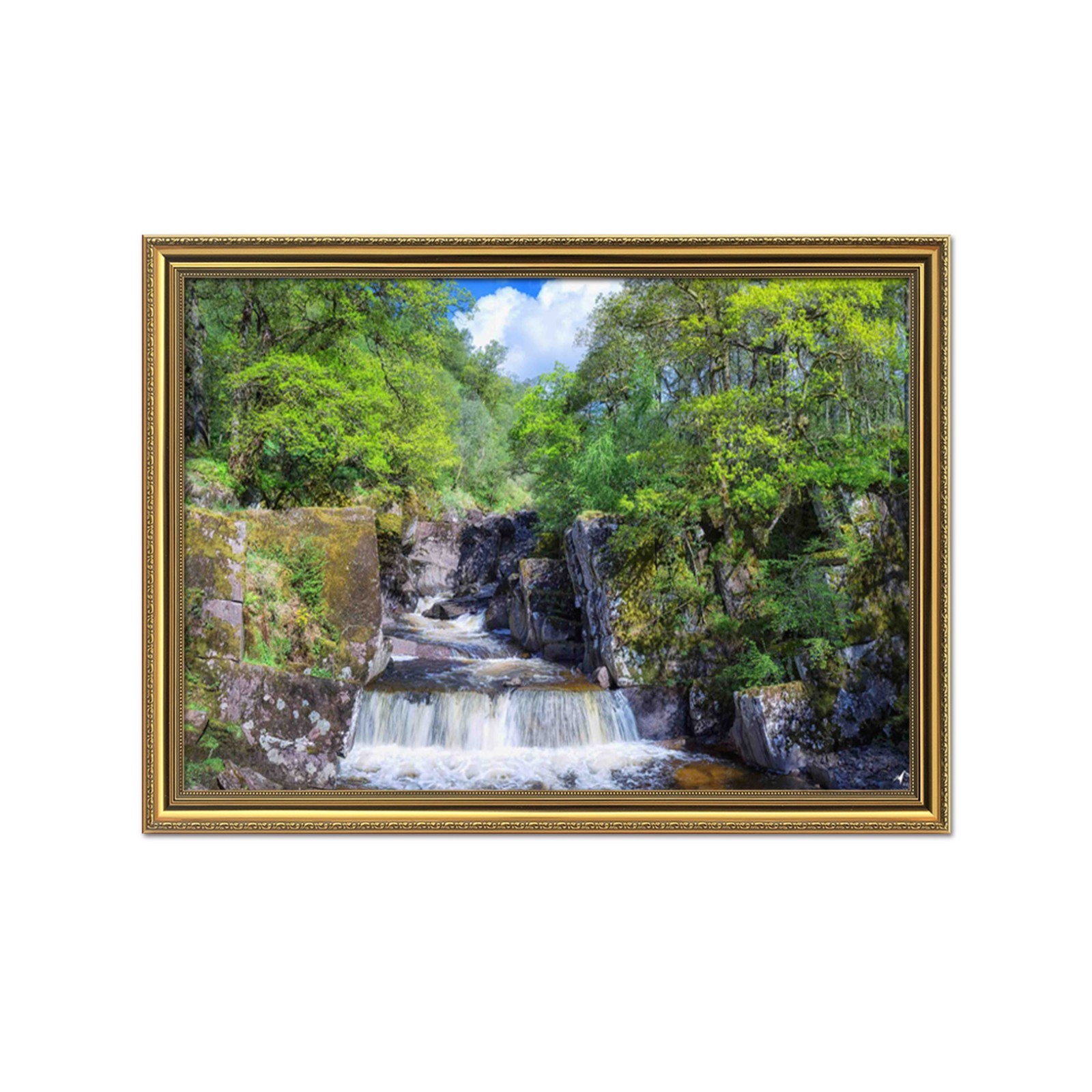 3D Small River Tree 55 Framed Poster Home Decor Print Painting Art AJ WALLPAPER