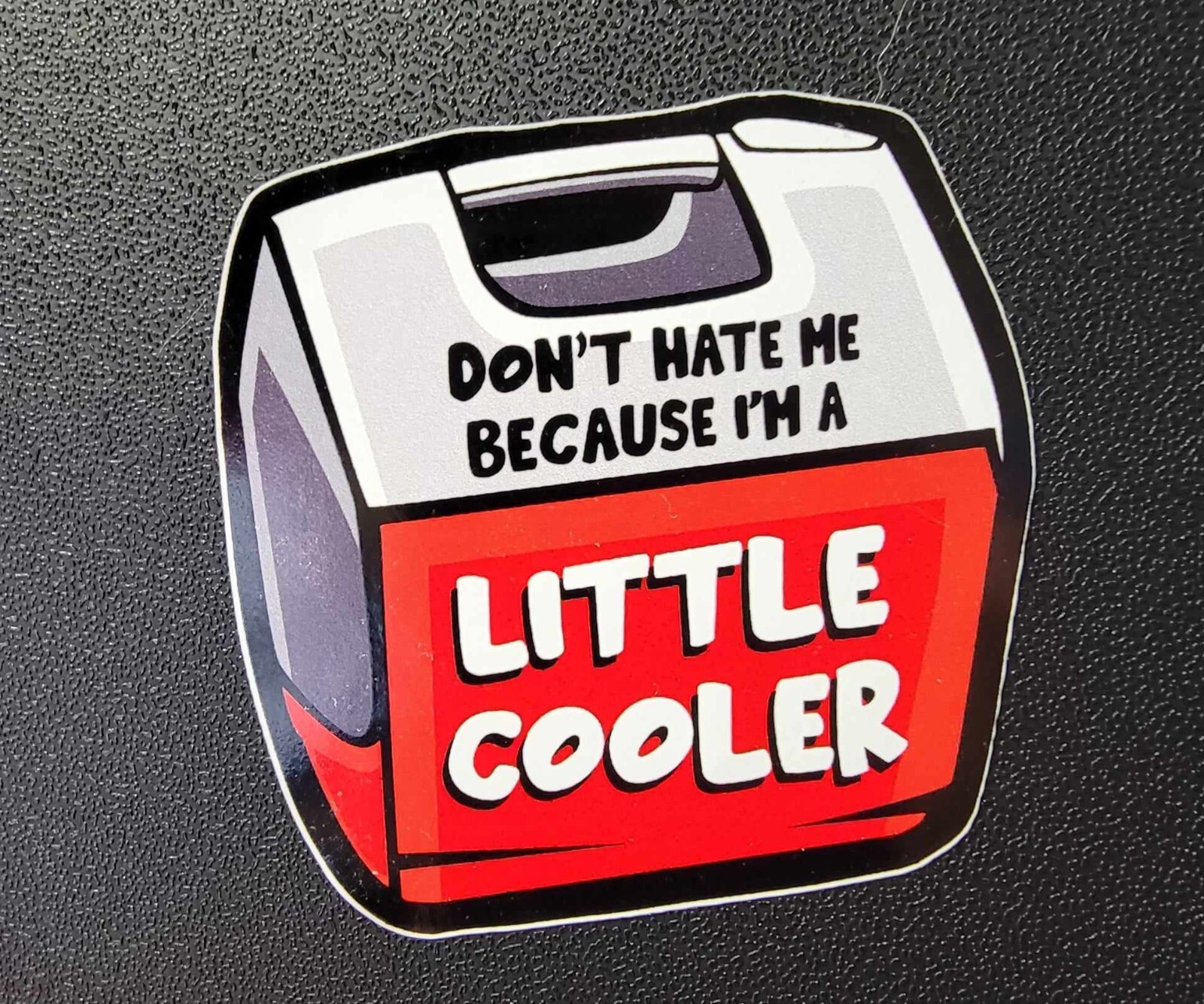 Don't Hate Me Because I'm A Little Cooler Vinyl Decal (3 Inches)