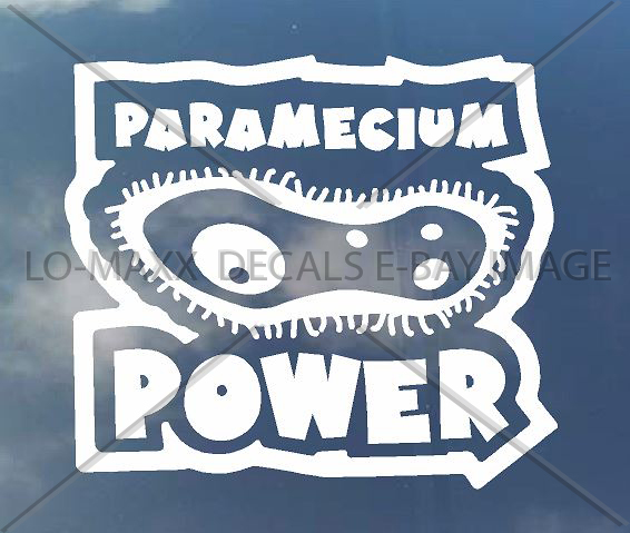 Paramecium Power One Celled Organism Art One Of A Kind Die-Cut Vinyl Decal