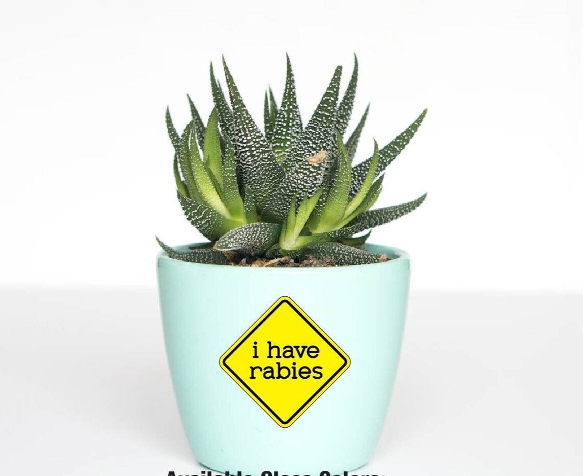 Caution i have rabies Decal Sticker Funny Wild Animal Crazy Humor Raccoon Trash