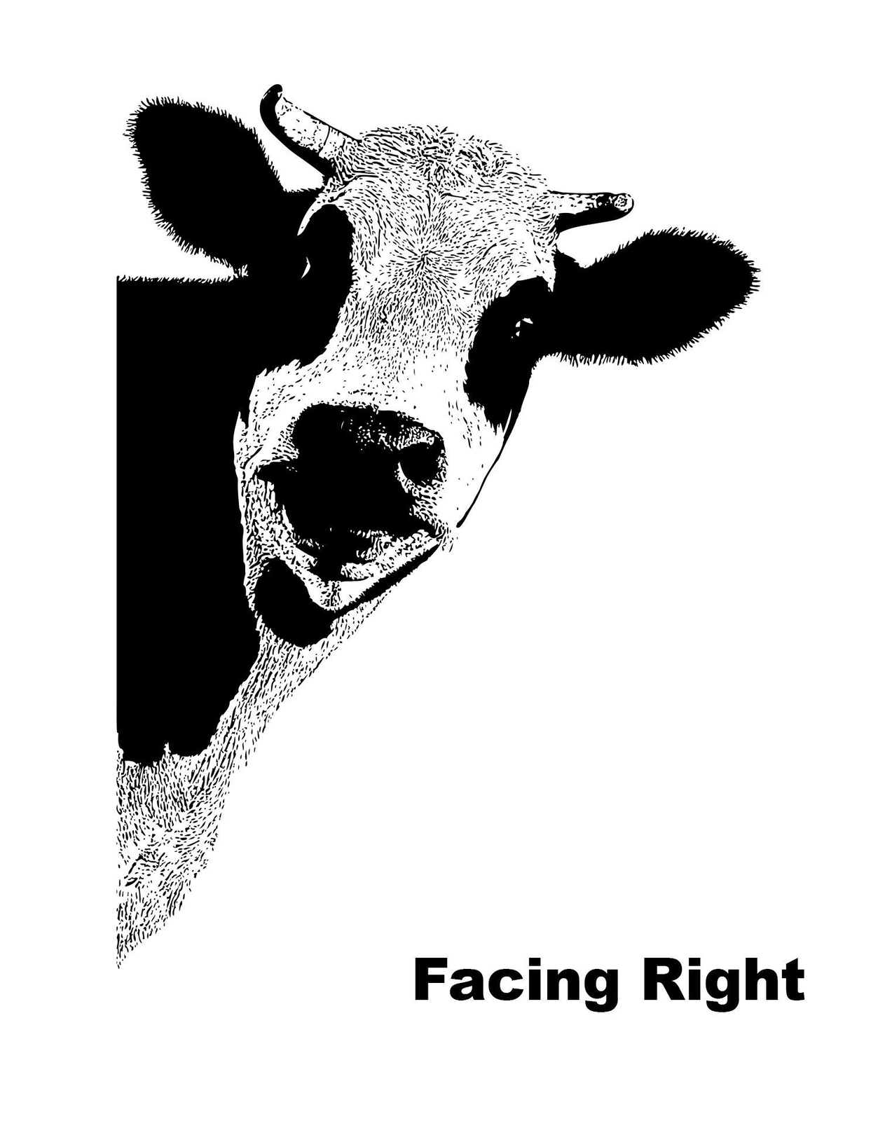 Kitchen Cow Wall Decal Sticker. Dining Room Cow Wall Art. Black Cow. #5476