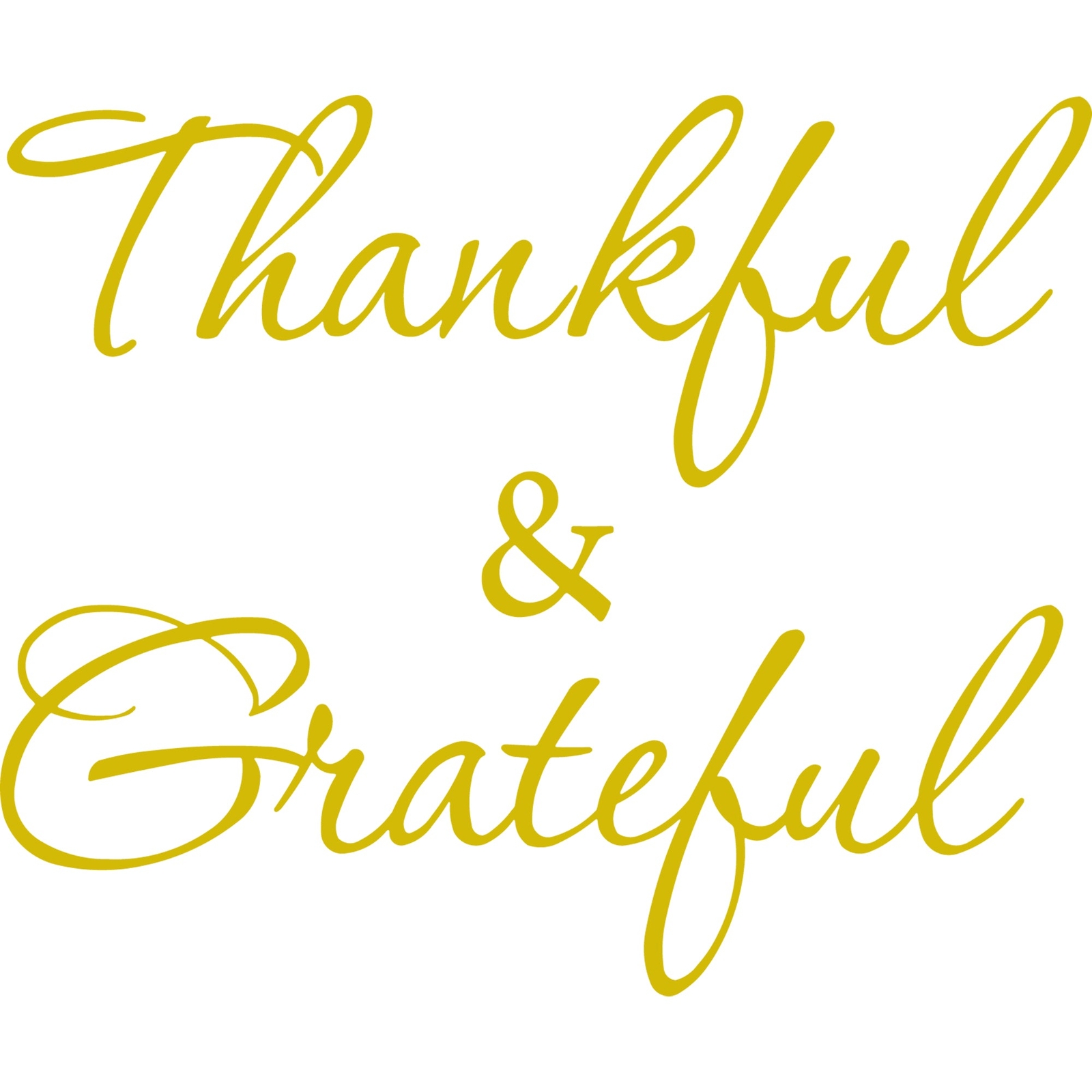 Thankful and Grateful Inspirational Vinyl Wall Decal VWAQ – Version 1