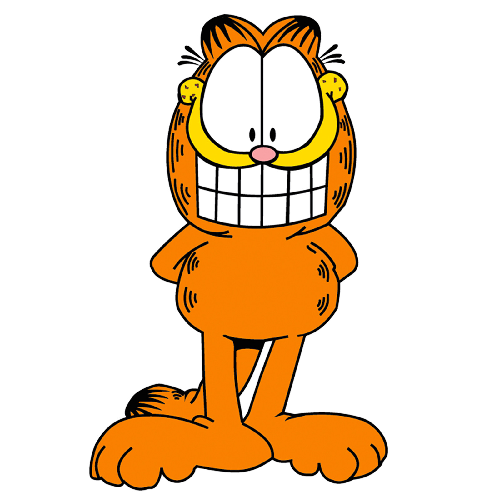 Garfield the cat cartoon wall stickers wal sticker cropped cm. 40×77 1 PC.