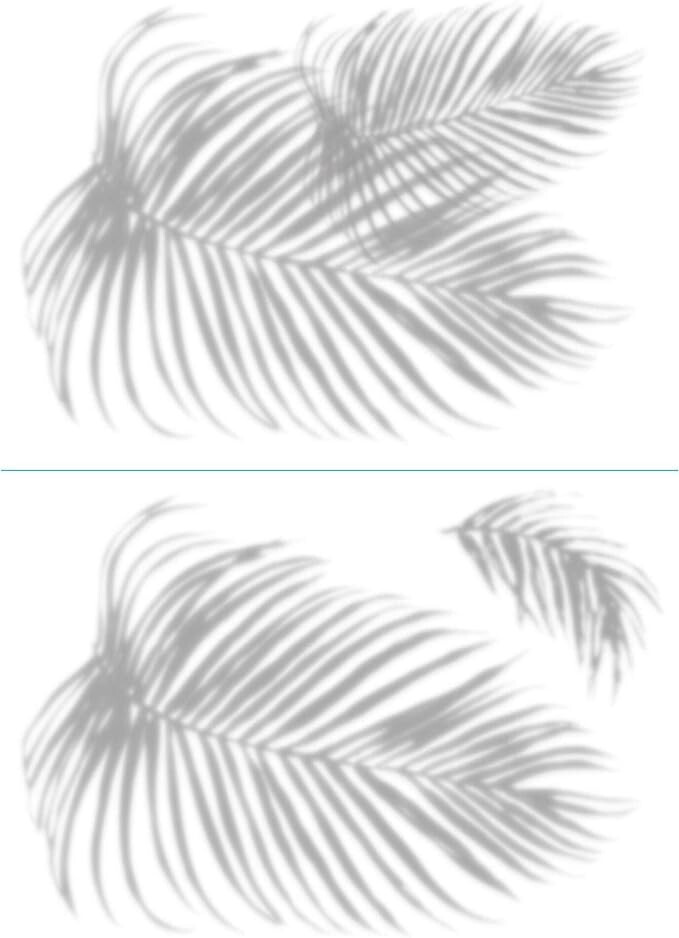 RoomMates RMK4560TBM Palm Shadow XL Giant Peel and Stick Wall Decals