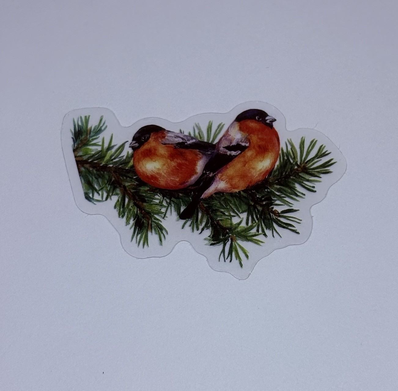 Bullfinches On Pine Branch Sticker Animal Art Transparent Journal Decal Vinyl Tc