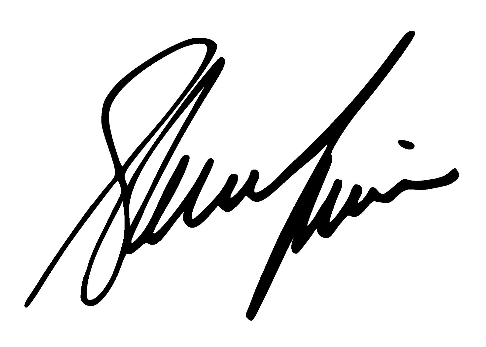 Shania Twain Autograph Signature Vinyl Decal, USA seller