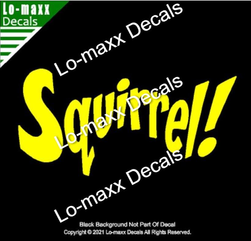 Squirrel! Funny Cute Original Custom Art High Performance Die Cut Vinyl Decal