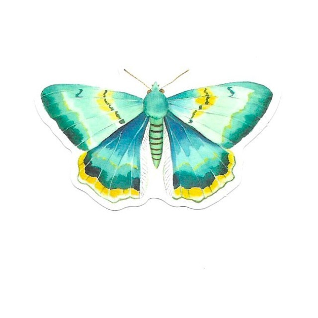 Teal Emerald Swallowtail Moth Vinyl Sticker Vintage Green Insect Journal Laptop