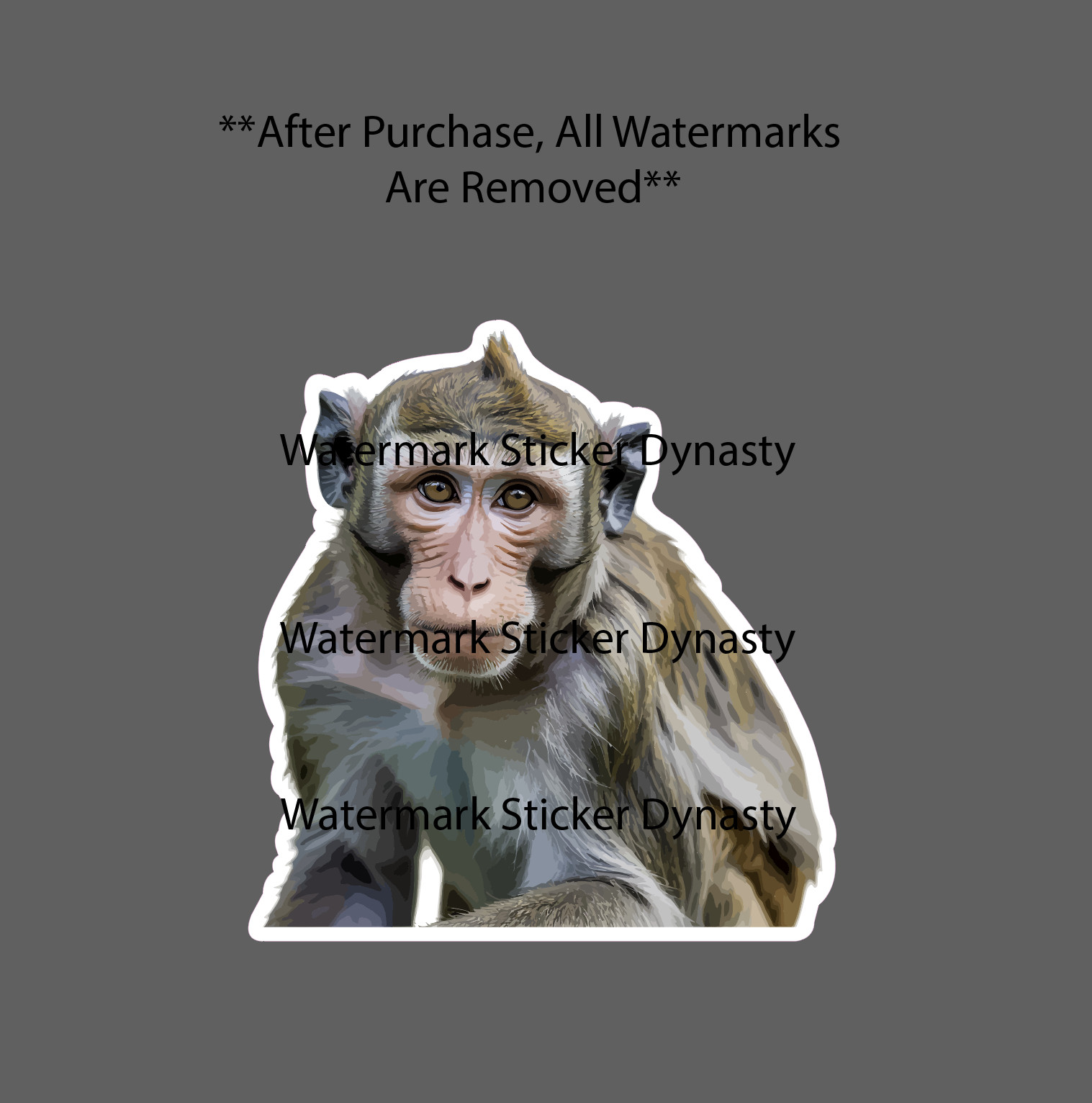 Macaque Monkey Sticker Waterproof Decal Animal Wildlife Outdoor Gift NEW