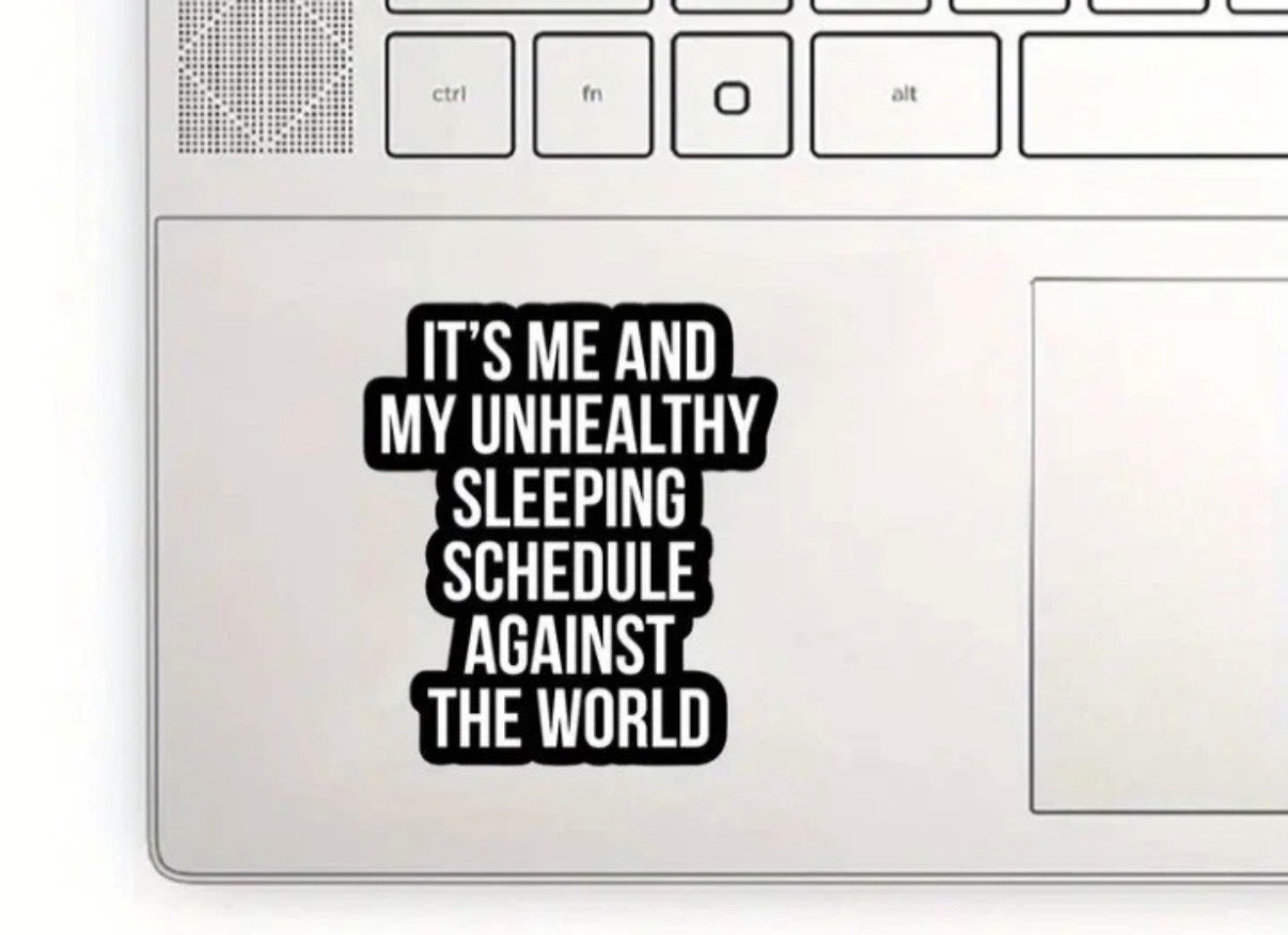 It's Me and My Unhealthy Sleeping Schedule Against the World Vinyl Decal NEW
