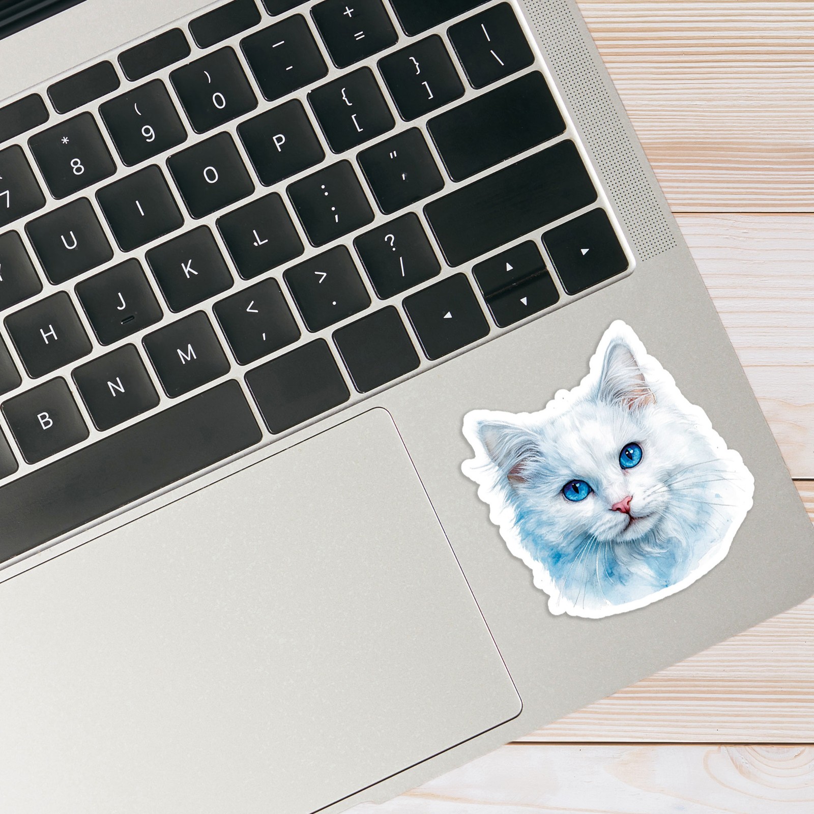 White Cat Portrait – Vinyl Decal Sticker – Car Window Laptop – #24