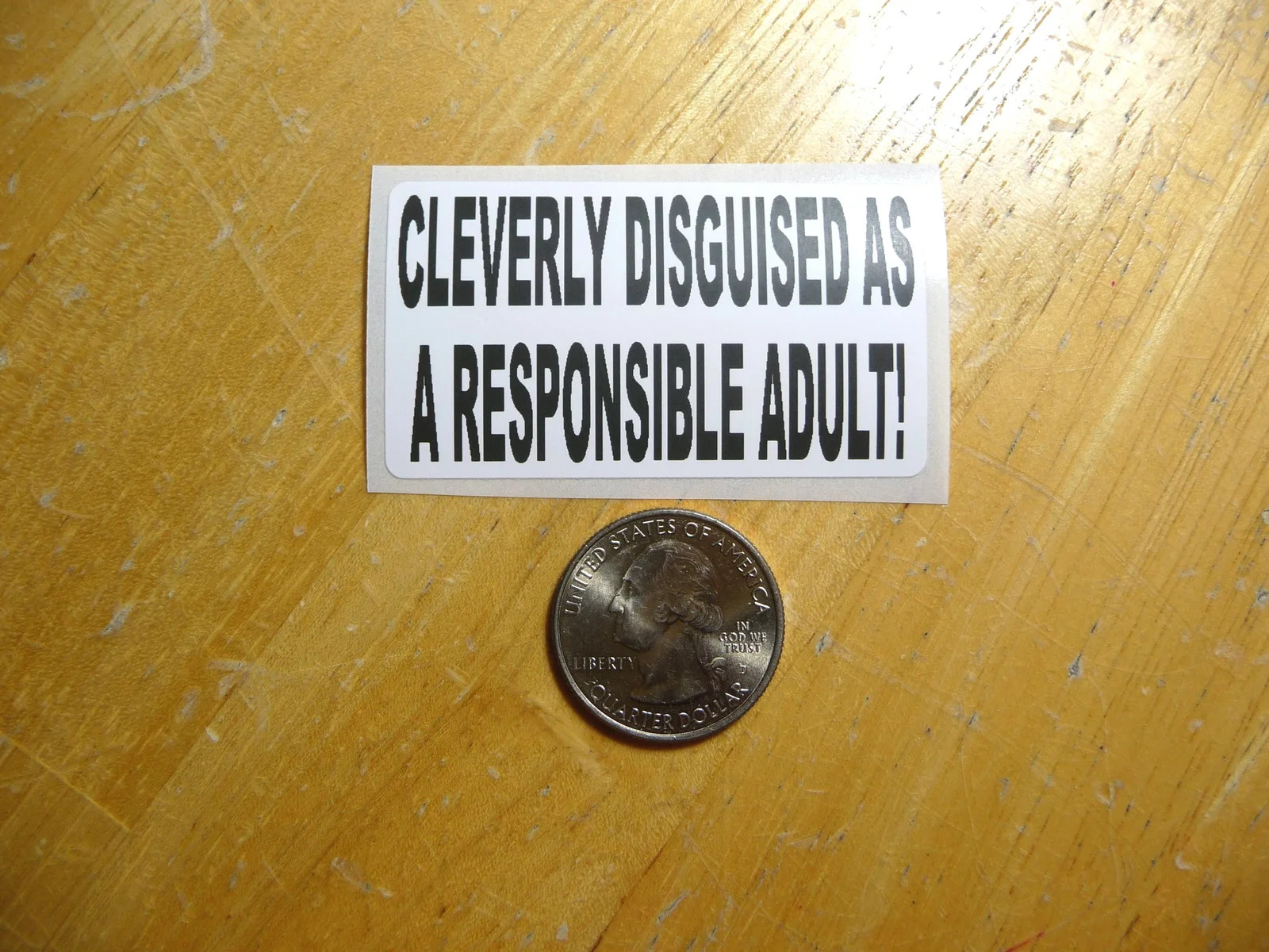 CLEVERLY DISGUISED AS RESPONSIBLE ADULT STICKER DECAL 1 – 50 BULK PACK FUNNY