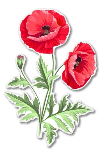 Poppies Car Laptop Phone Vinyl Sticker – SELECT SIZE
