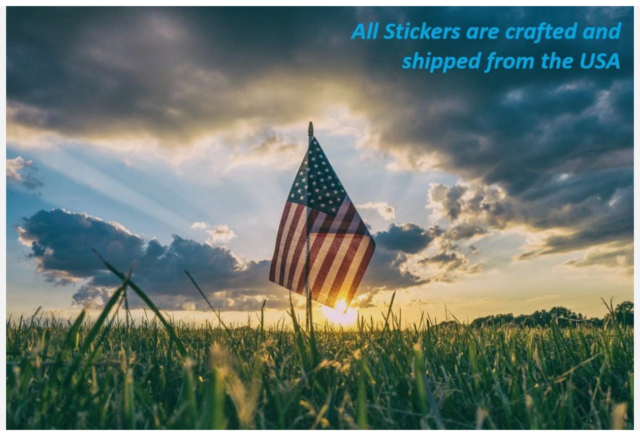 Circle Sticker Vinyl Decal PICK SIZE COLOR Car Bumper Window Art Wall Dot Sign