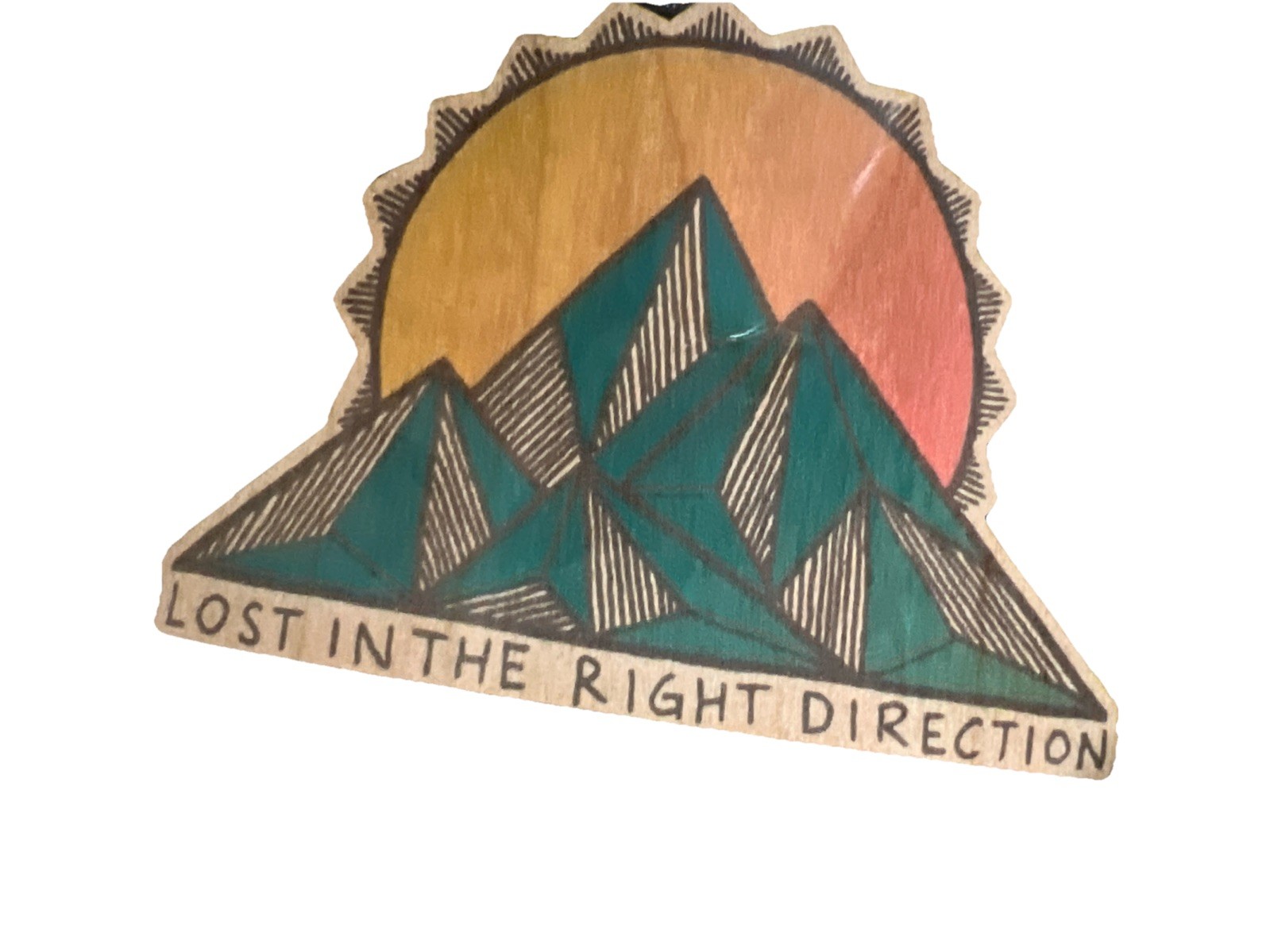 Lost In The Right Direction WOOD Sticker Dishwasher Biodegradable Dust City NEW