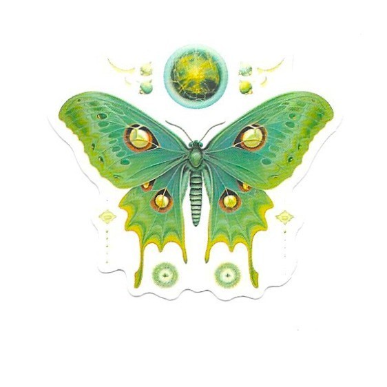 Spanish Moon Moth Vinyl Sticker Vintage Celestial Green Insect Journal Laptop