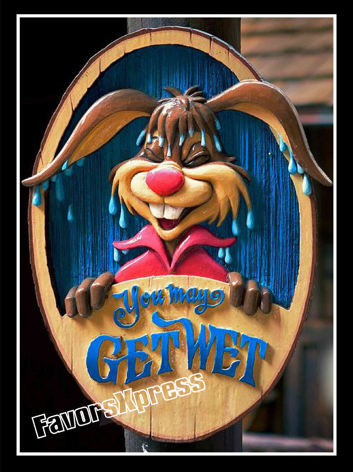 DISNEYWORLD SPLASH MOUNTAIN PHOTO MAGNET large 5.25 X 4 INCHES