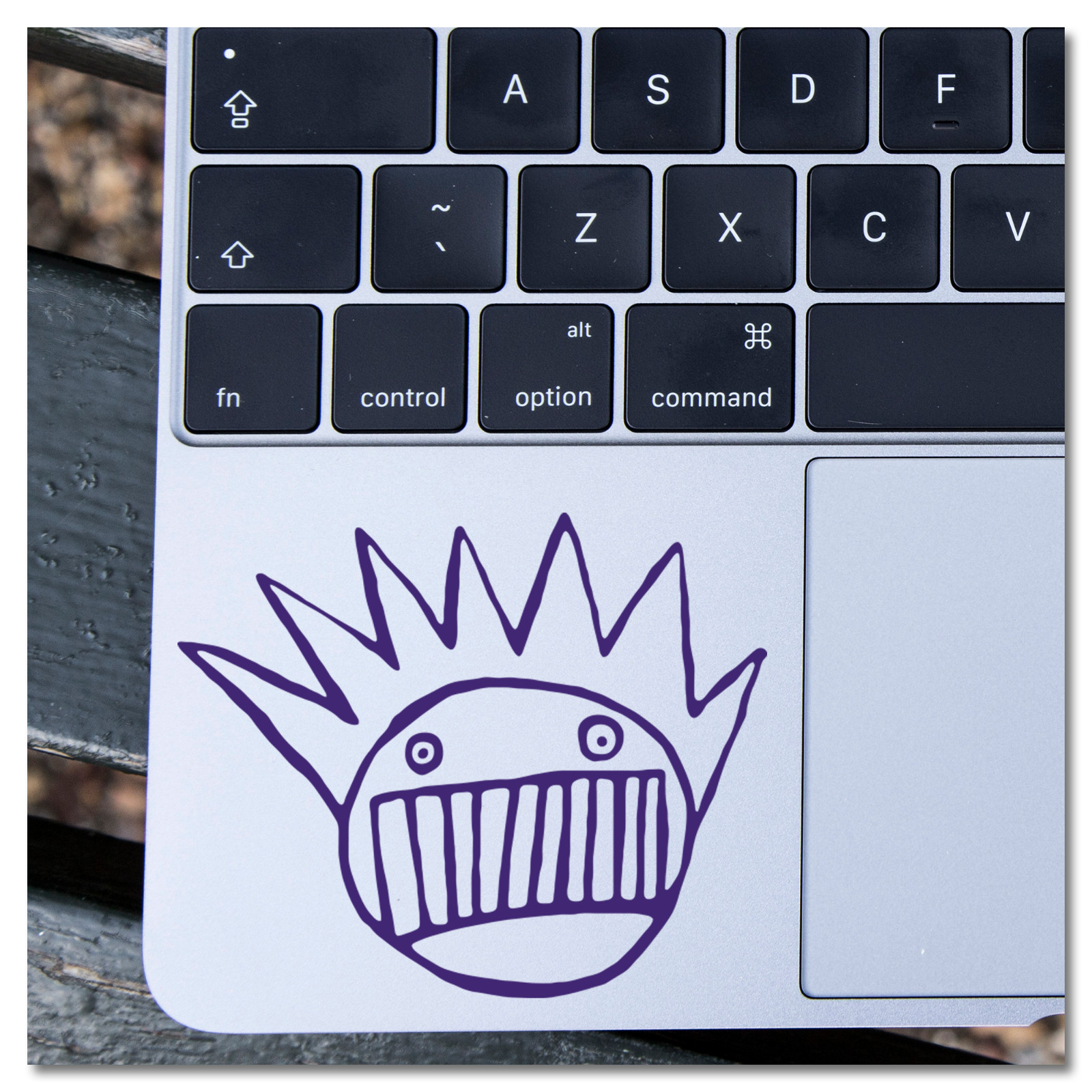 6" Ween Boognish Music Vinyl Decal Sticker