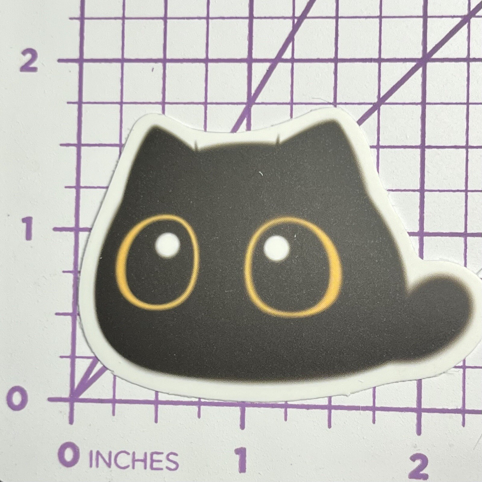 Emo Black Cat What Did You Say ??? ! Mystery Black Cat Vinyl Decal Sticker Bomb