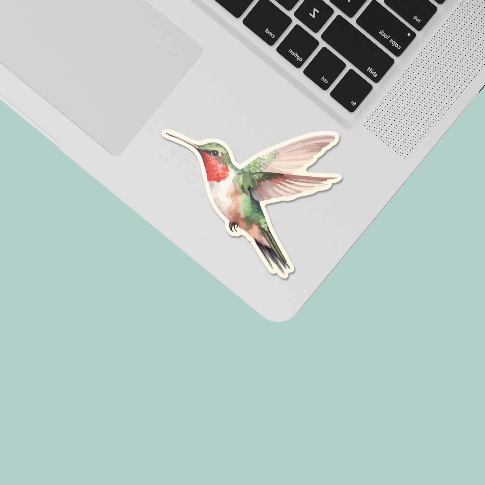 Hummingbird Sticker – Mini Birdwatching Decal