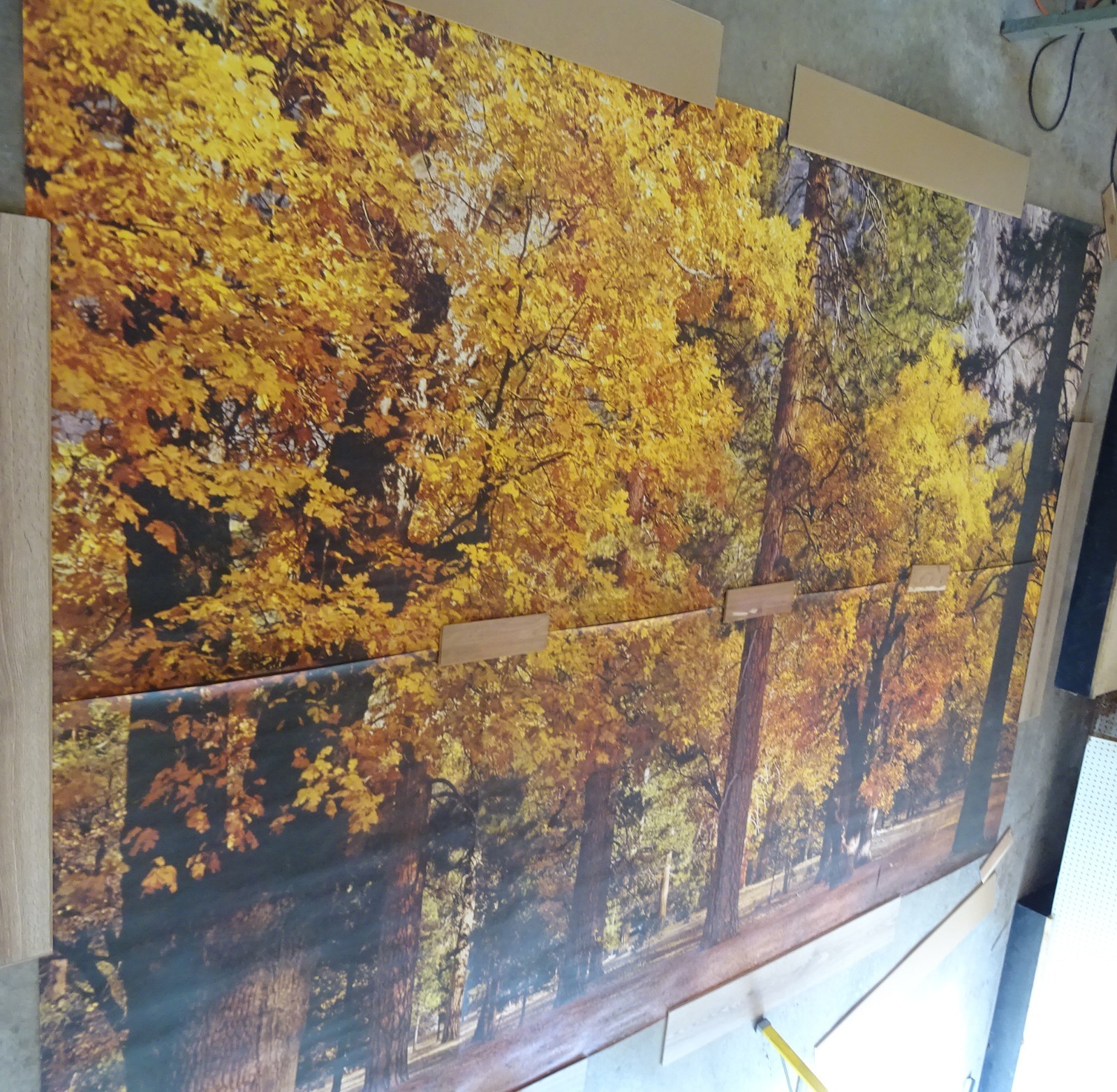 Full Wall Photo Mural Autumn Yosemite National Park Josef Muench 8’ 8” x 12’ 6”