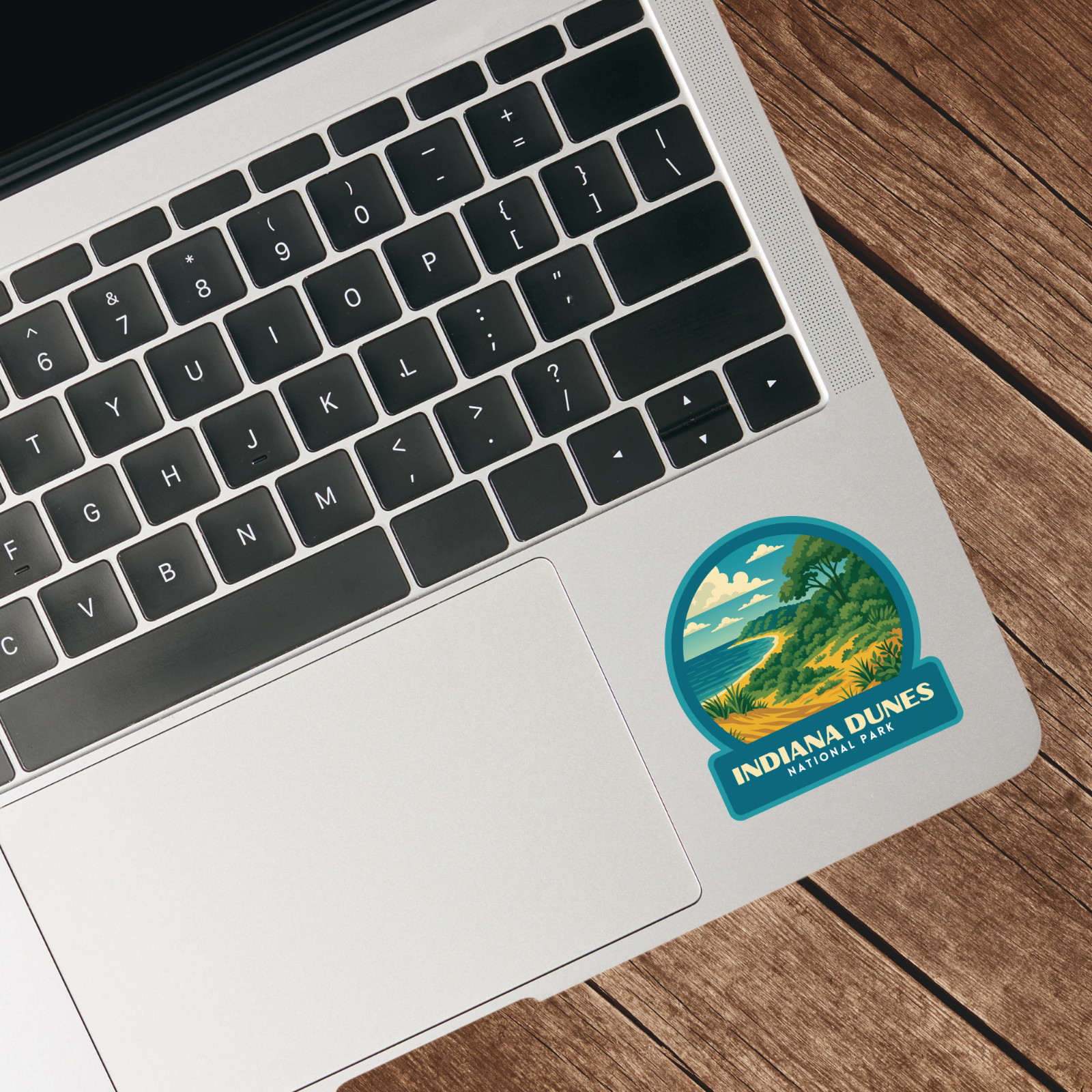 Indiana Dunes National Park Sticker Vinyl Decal Laptop Water Bottle Cooler