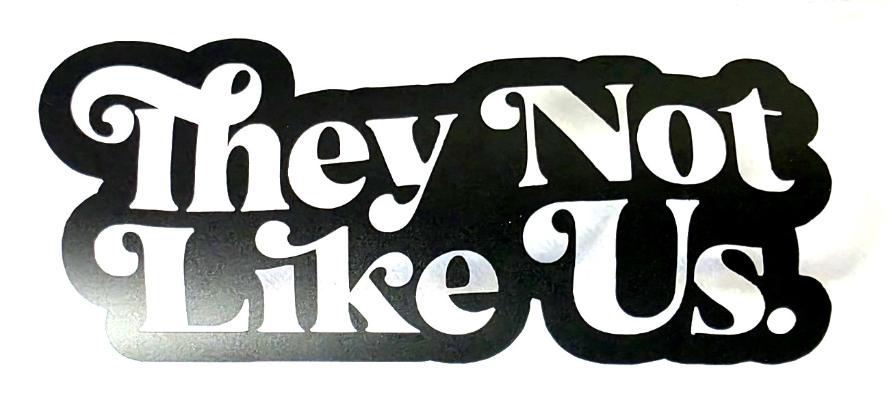 They Not Like Us Vinyl Decal Sticker Waterproof 3×6 Inches White or Black 1/25