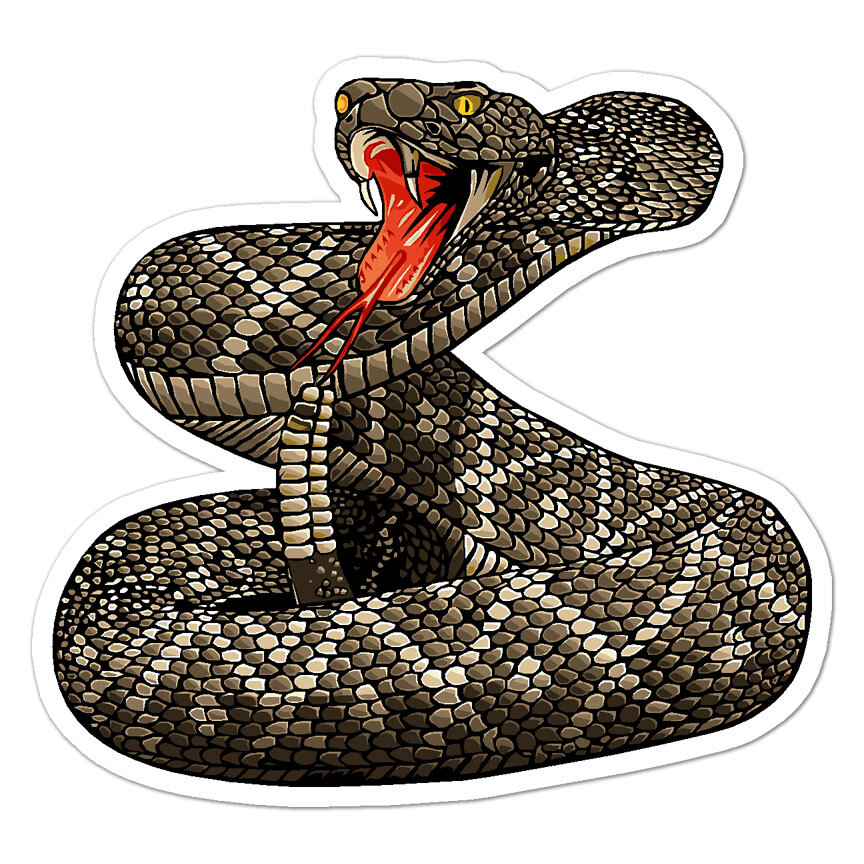 Rattle Snake, Vinyl Decal Sticker, Indoor Outdoor, 3 Sizes, #9746