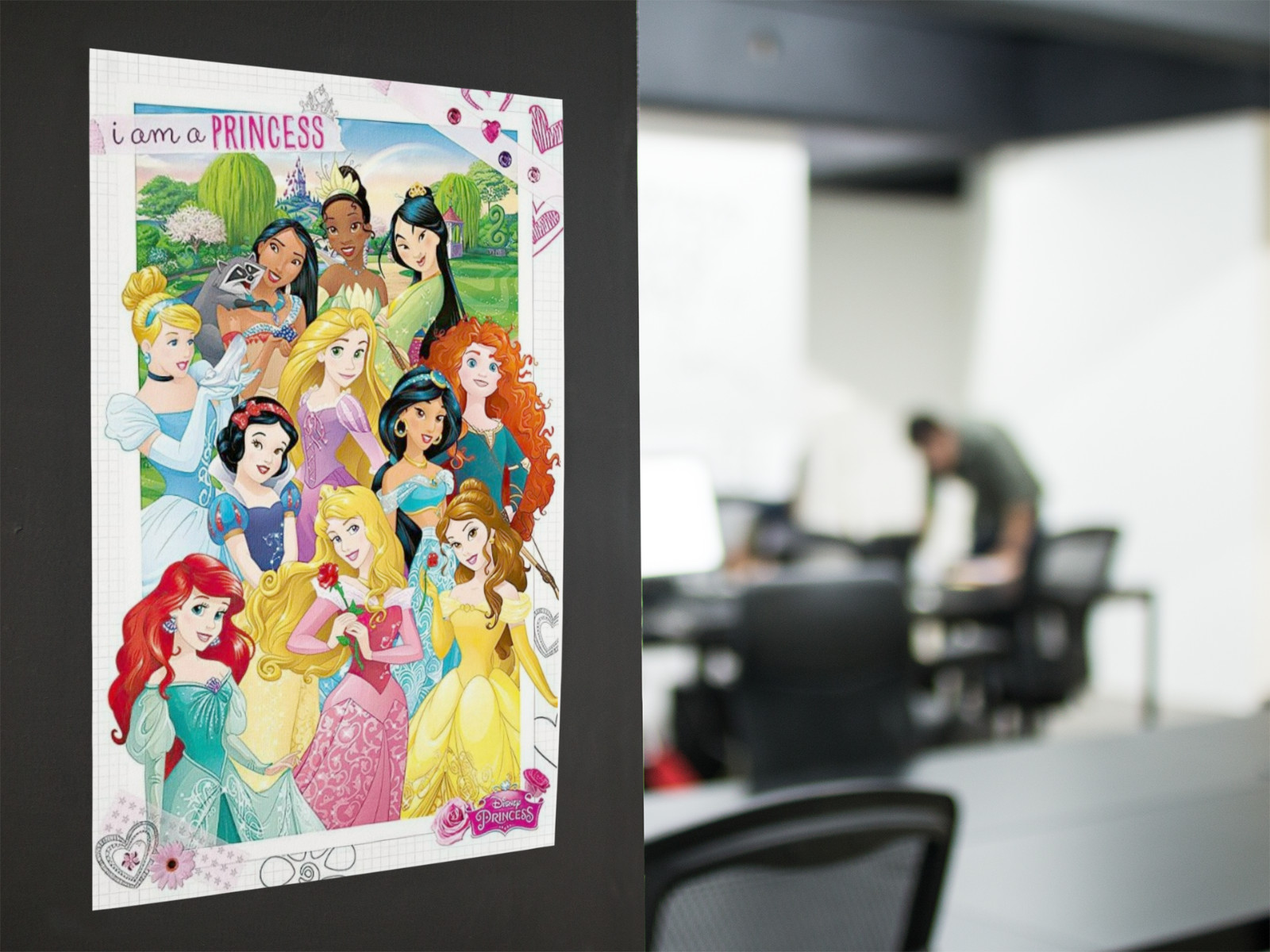 11 princesses Cartoon Graphic Wall Decal Poster Removable Adhesive Backing
