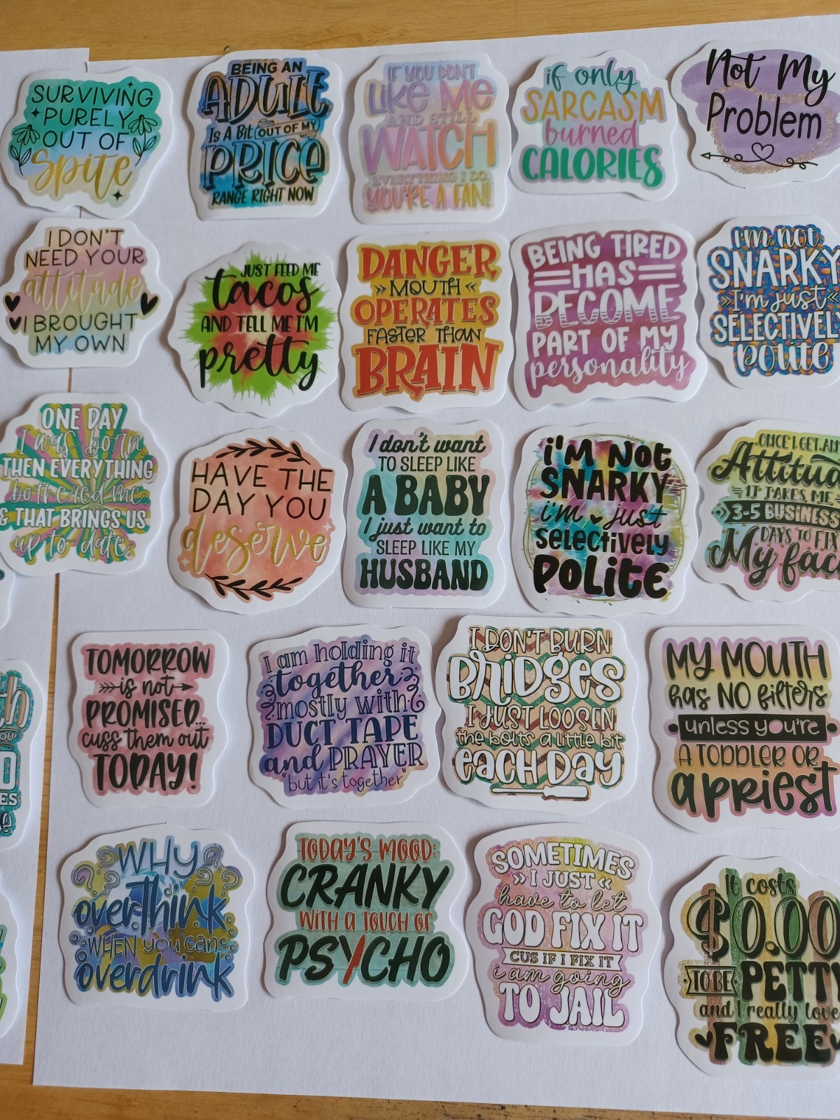 5 Random Assorted Funny, Snarky, Sarcastic stickers humorous and fun