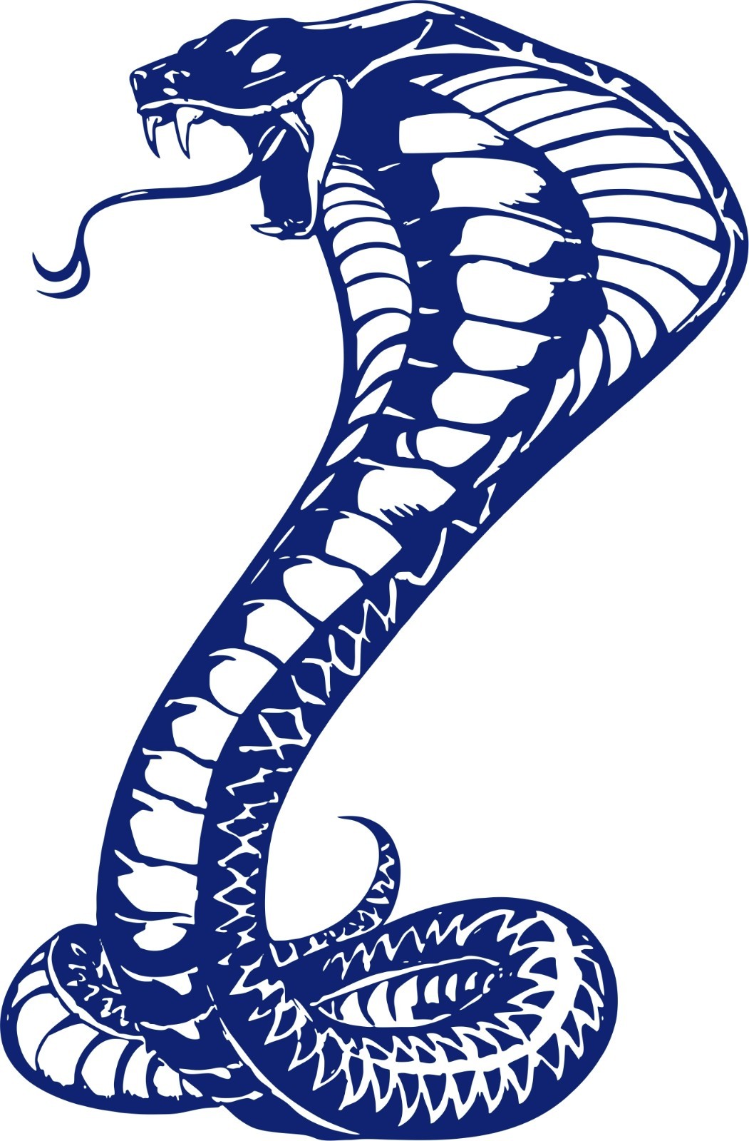 Large Snake Naja Cobra Serpent Reptile Car Truck Boat Window Vinyl Decal Sticker