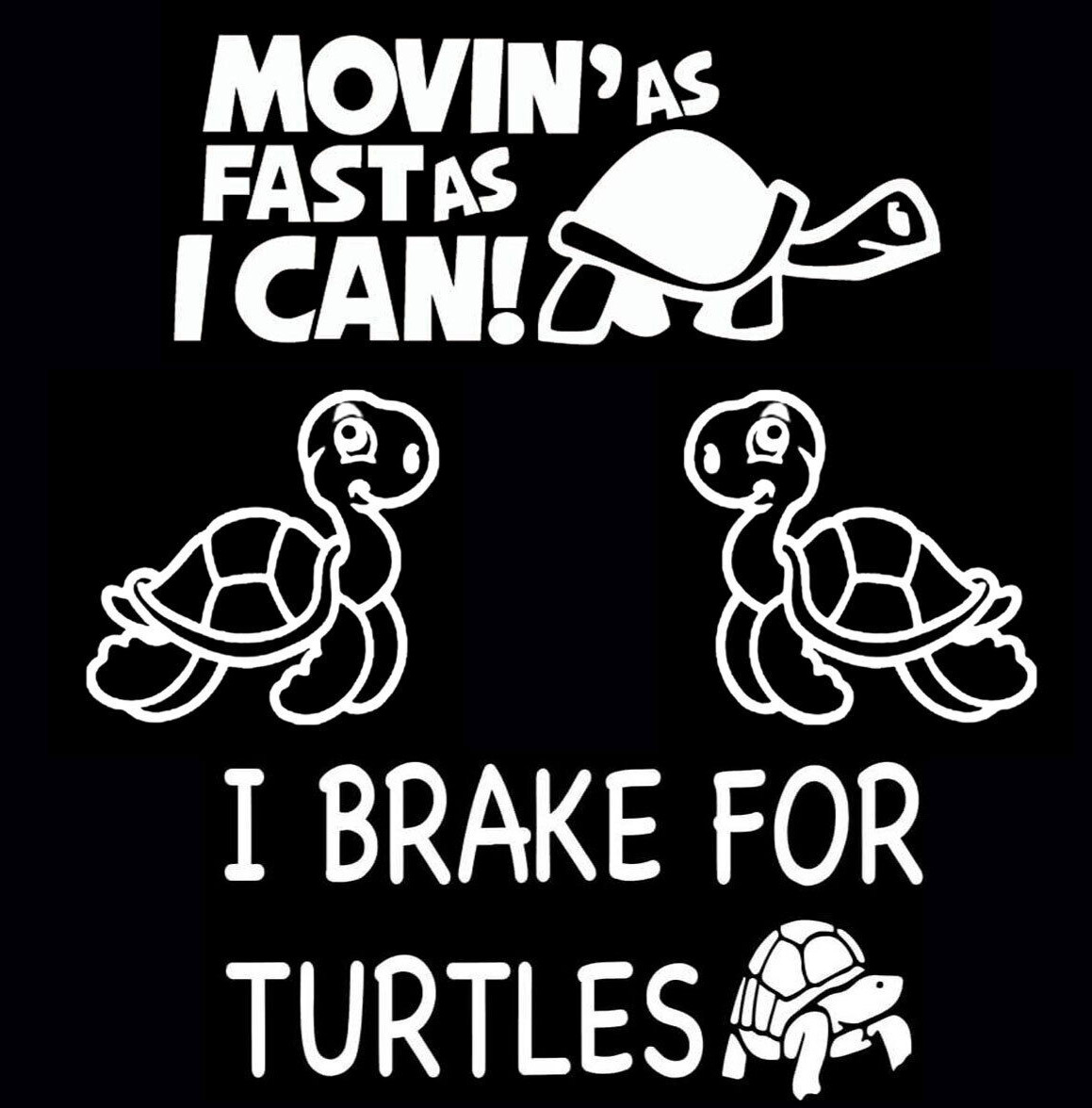 Cute Turtle Collection Vinyl Decal Car Window Tumbler Laptop Tablet Notebook