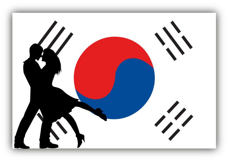 South Korea Flag Couple Car Bumper Sticker Decal