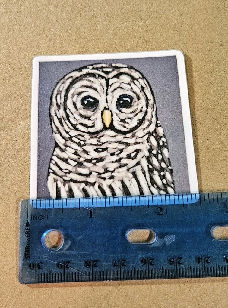 Owl Sticker Matte Vinyl, Original Art, 2.5" Square Sticker of Barred Owl Art